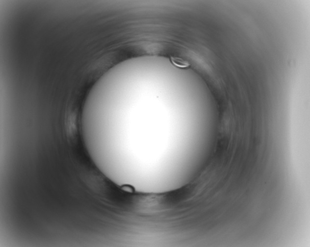 X0000088410122200706051200