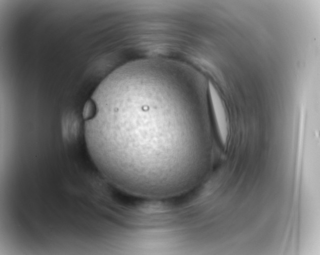 X0000088410123200706051200