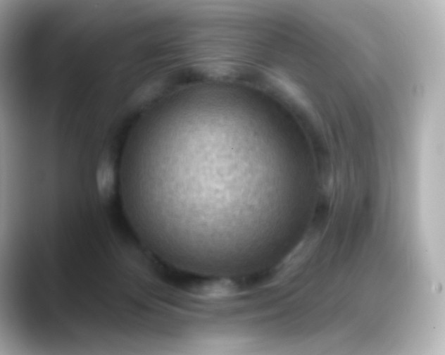 X0000088410124200706051200