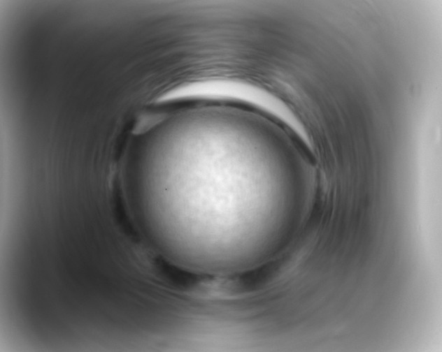 X0000088410125200706051200