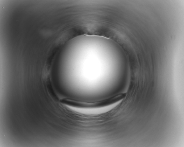 X0000088410129200706051200