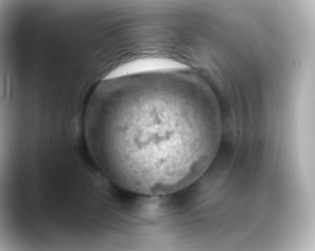 X0000088410131200706051200