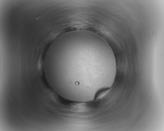 X0000088410132200706051200