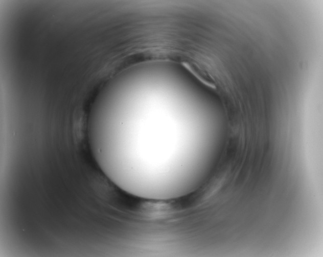 X0000088410133200706051200