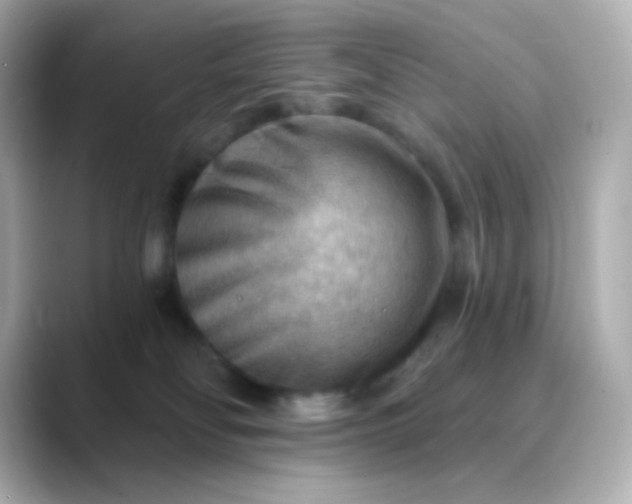 X0000088410134200706051200