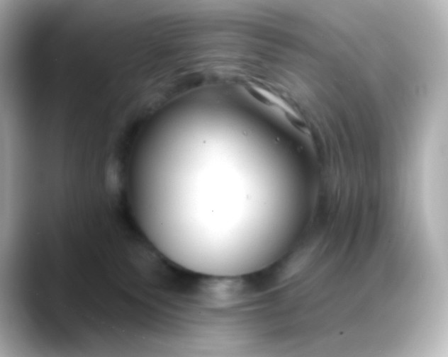 X0000088410135200706051200