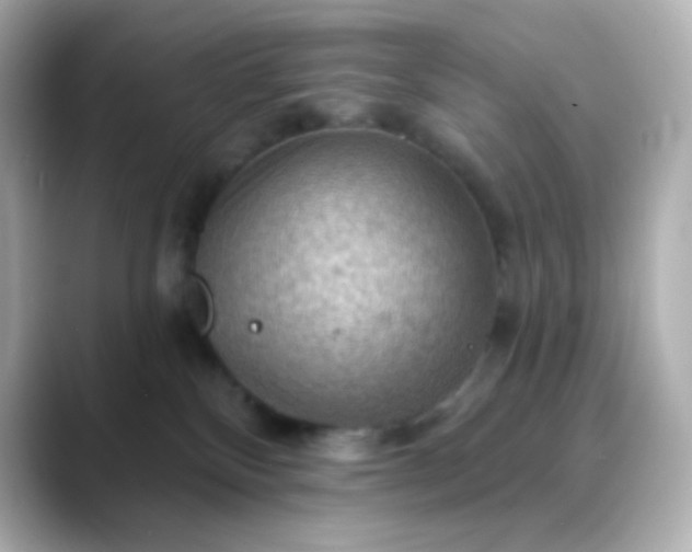 X0000088410136200706051200