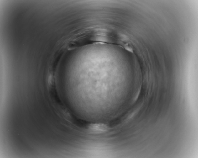 X0000088410137200706051200