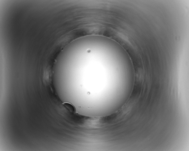 X0000088410138200706051200