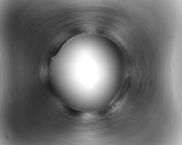 X0000088410141200706051200