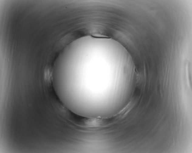 X0000088410142200706051200