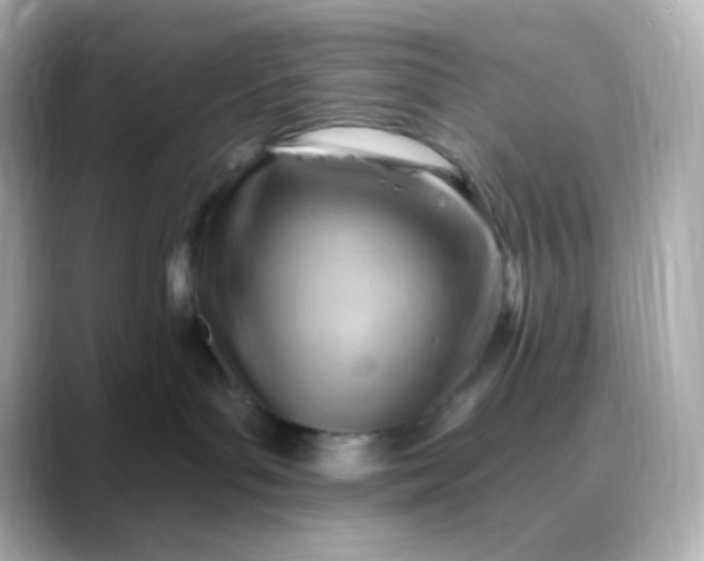 X0000088410143200706051200