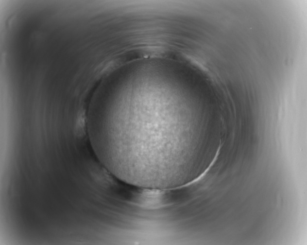 X0000088410144200706051200