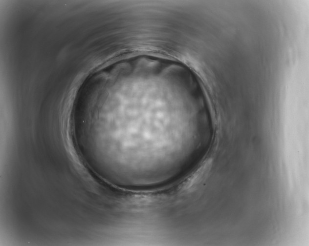 X0000088410145200706051200