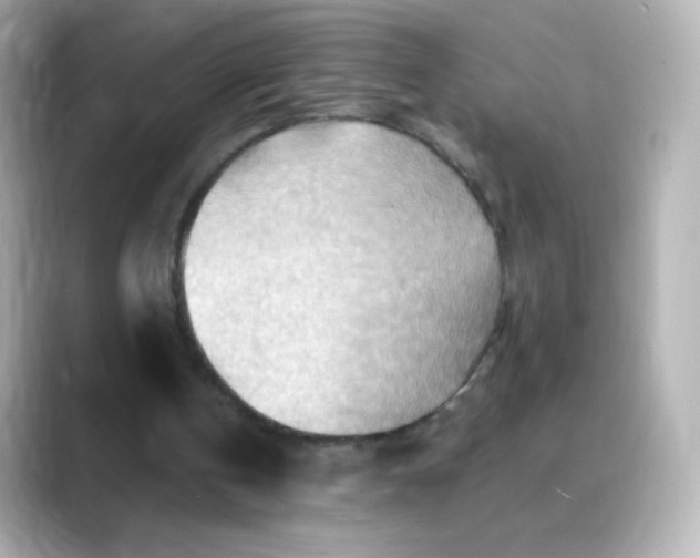 X0000088410146200706051200