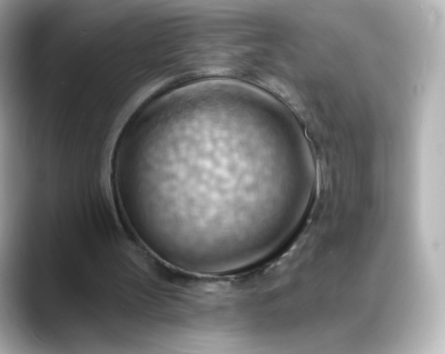 X0000088410147200706051200