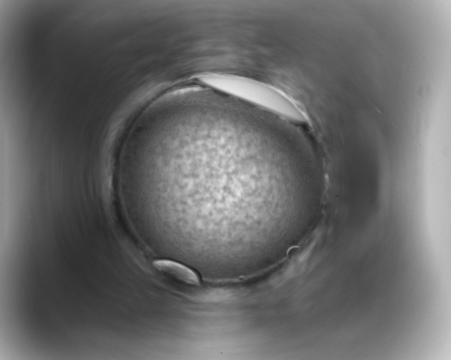 X0000088410149200706051200