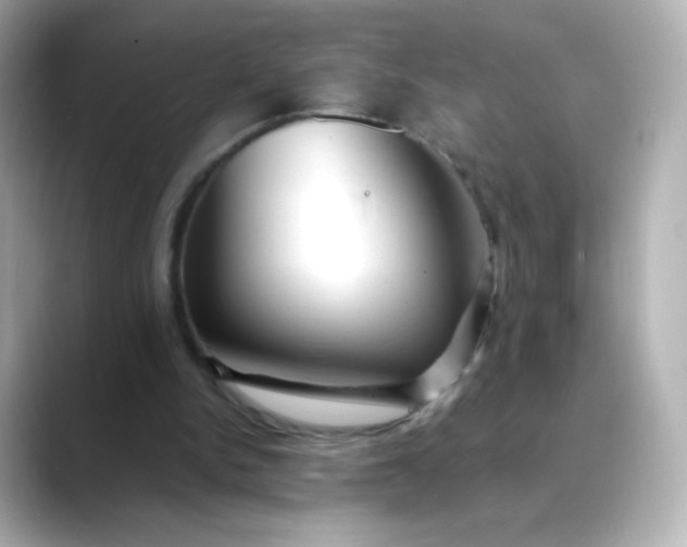 X0000088410150200706051200