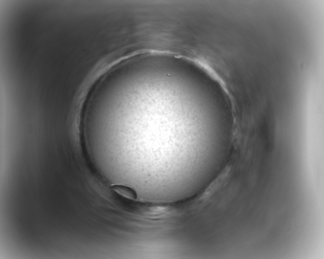 X0000088410151200706051200