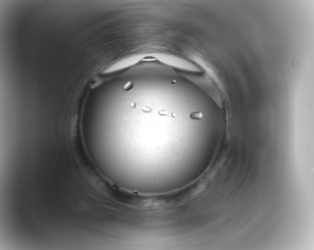 X0000088410153200706051200