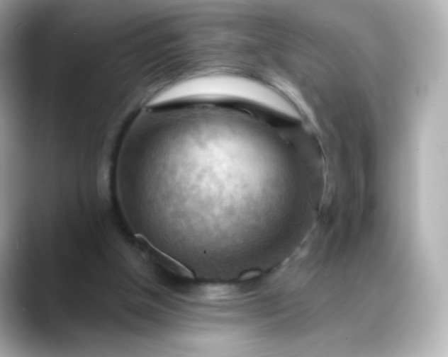 X0000088410154200706051200