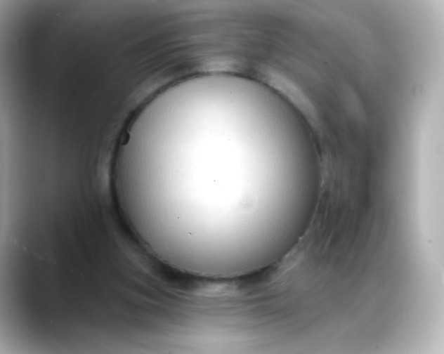 X0000088410155200706051200