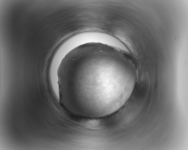 X0000088410156200706051200