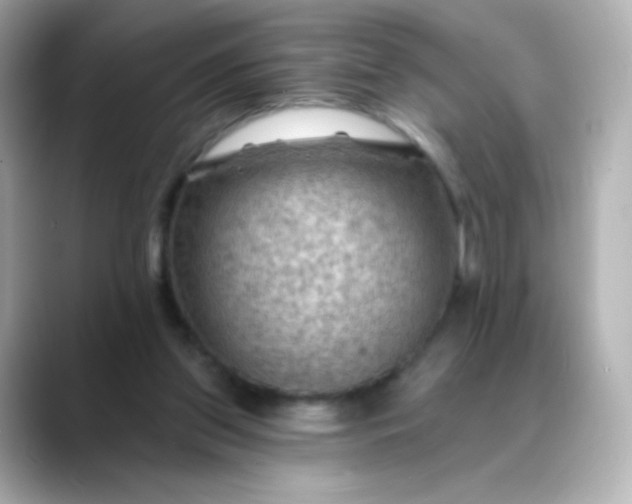 X0000088410157200706051200