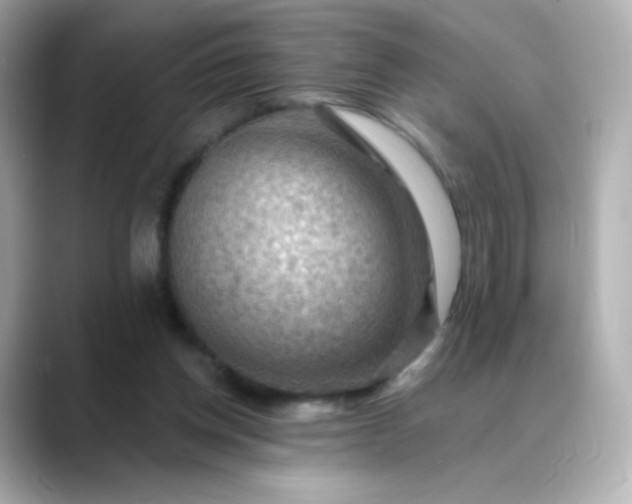 X0000088410158200706051200