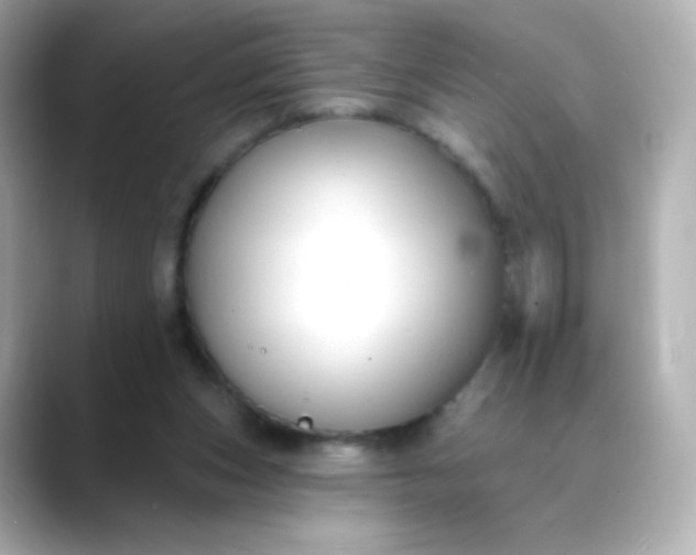 X0000088410159200706051200