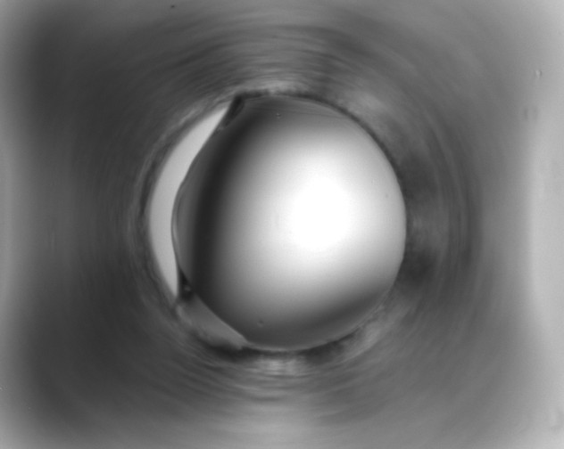 X0000088410160200706051200