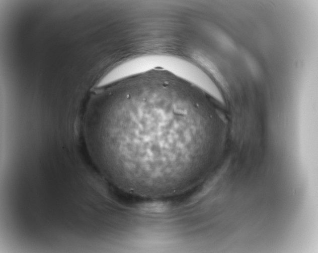 X0000088410161200706051200