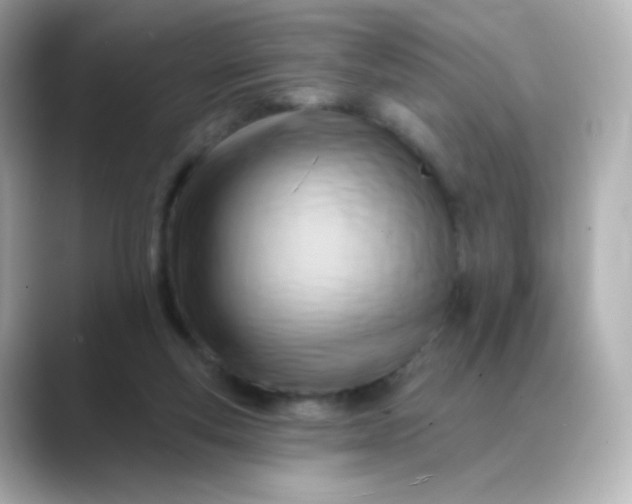 X0000088410163200706051200