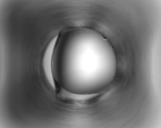 X0000088410164200706051200