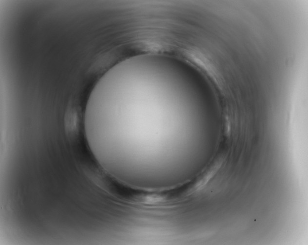 X0000088410165200706051200