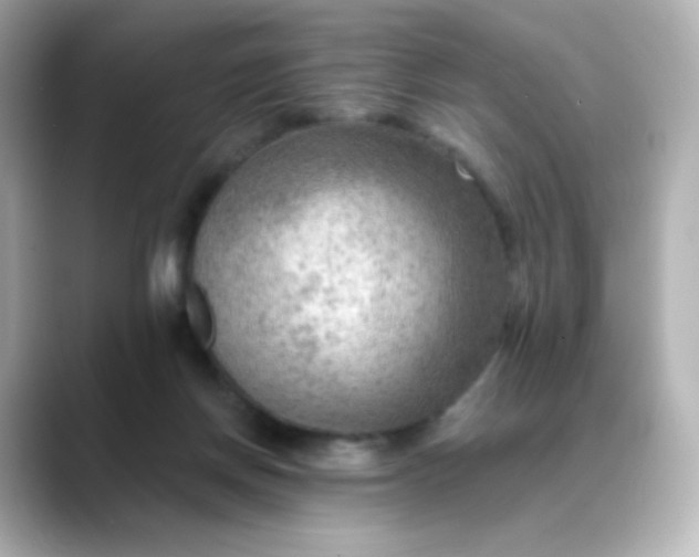 X0000088410166200706051200