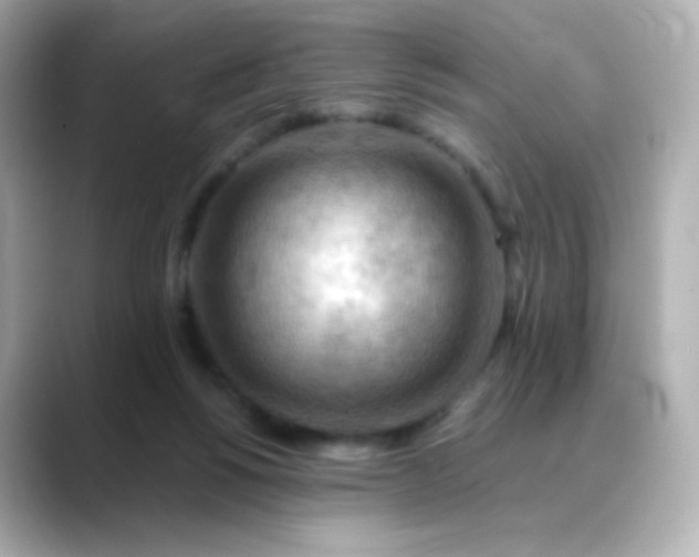 X0000088410168200706051200