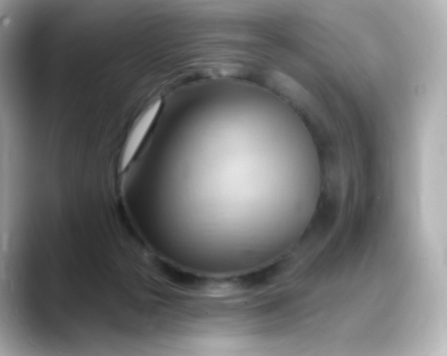 X0000088410169200706051200