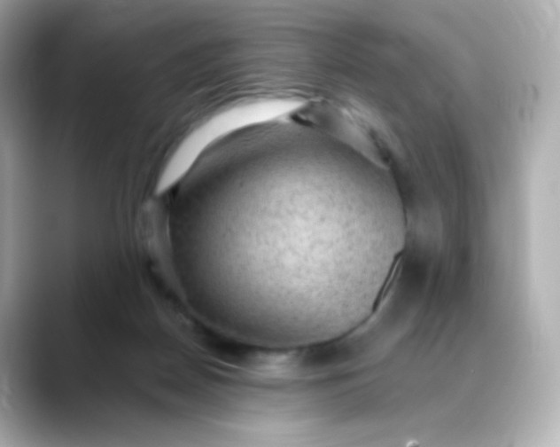 X0000088410170200706051200