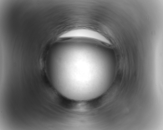 X0000088410173200706051200