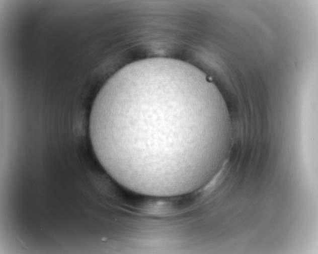 X0000088410174200706051200