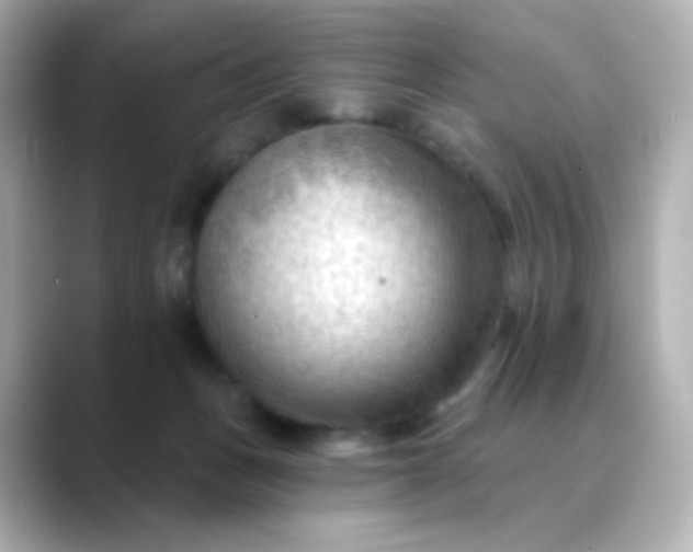 X0000088410175200706051200