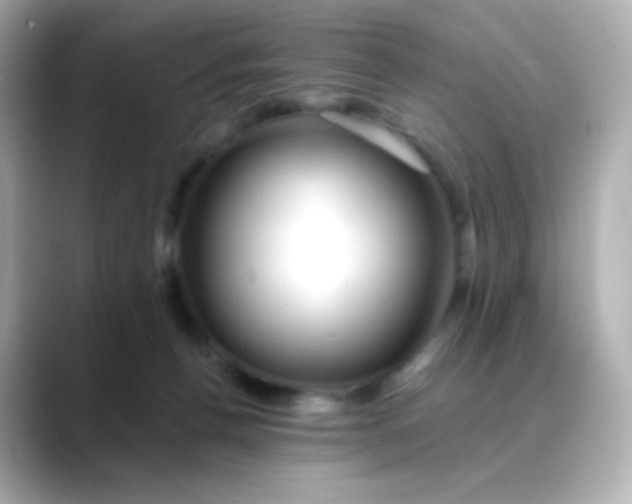 X0000088410176200706051200