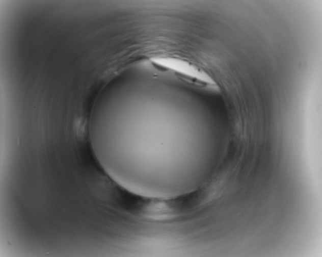 X0000088410177200706051200