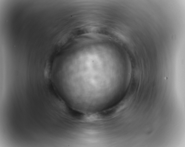 X0000088410181200706051200