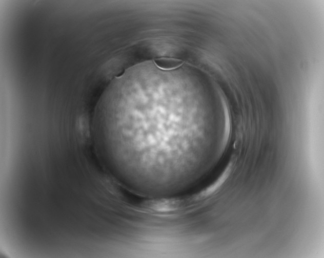 X0000088410182200706051200