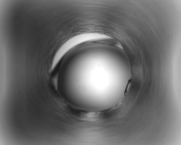 X0000088410184200706051200