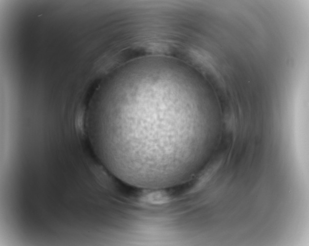 X0000088410185200706051200