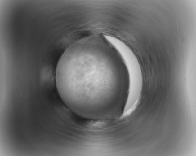 X0000088410186200706051200