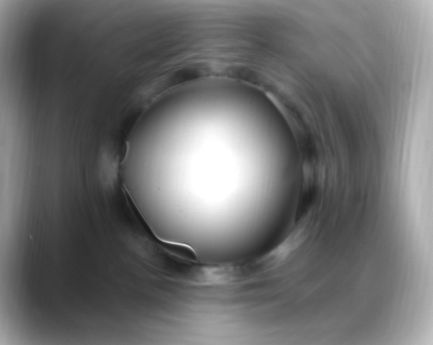 X0000088410188200706051200